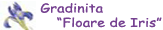 Gradinita Floare de Iris